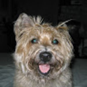 Meet your Posher, Ray